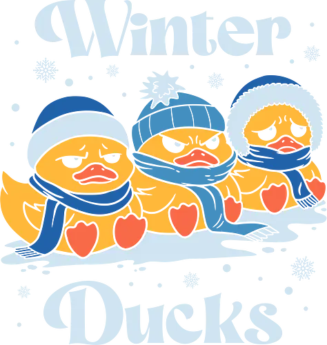 Winter Ducks - ice, mood, pet, sarcasm, snow, snowflake, winter, animal, cold, cozy vibes, cute, ducks, funny, grumpy, humor