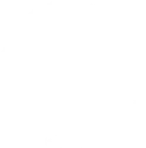 Logo (White)