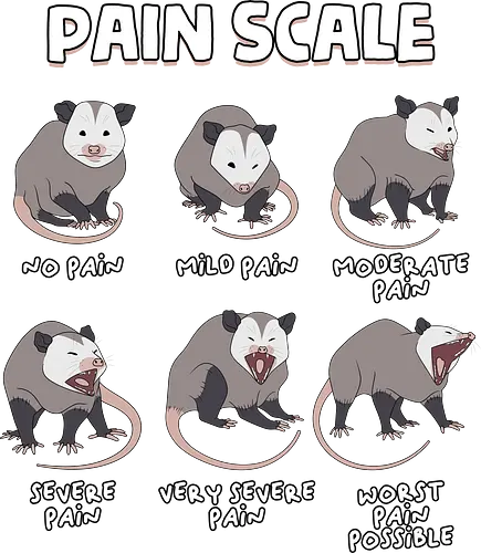 Pain Scale - pain scale, emergency department, funny nurse, healthcare, icu nurse, medical humor, nurse, nurse day, nurse life, nursing school, nursing student, opossum, physical therapist, physical therapy, possum