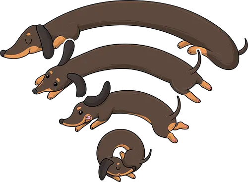 Dachshund Connection - dachshund, connection, dachshund dad, dachshund dog, dachshund funny, doxie, geek, humor, internet, meme, sausage dog, signal, technology, wiener dog, wifi