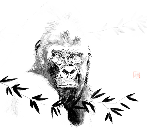 gorilla beringei beringei - gorilla, sumie, japan, beringei