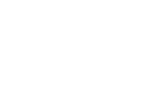 Cojones [koˈxones]-Selbstwert Frontdruck Brust - Cojones, Statement Shirt, Selbstwert, Mentale Klarheit, Haltung zeigen, Empowerment, Stärke tragen, Motivation, Mindset Shirt, für sich einstehen, Selbstvertrauen, Innere Stärke, mut zeigen, Selbstbewusstsein