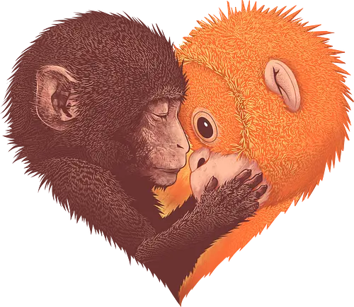Punch Needs Cuddles - punch monkey, baby monkey, punch the monkey, monkey lover, monkey punch, Japanese macaque, macaque, baby punch, punch Japan, punch the macaque, punch monkey Japan, baby punch monkey, lonely monkey, heart, punch, sad monkey, cute animal, cute monkey