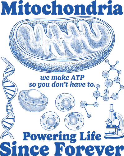 Mitochondria - mitochondria, atp, bacteria, biology, cell biology, chmestiry, dna, laboratory, microbiology, mitochondria disease, retro, science, stem, teacher, vintage