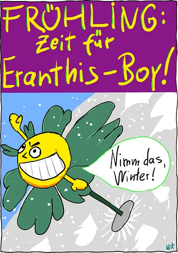 Eranthis-Boy - Pflanzen, Botanik, Eranthis, Frühling, Winter, Jahreszeiten