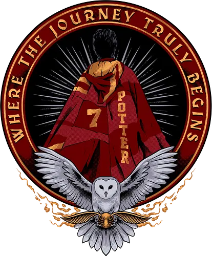 the lightning boy  - magic, wizard, magician, owl, bird, series