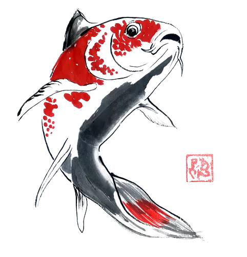 red koi - koi, fish, carp, sumie, japan