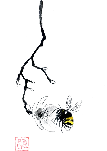 bumblebee - bumblebee