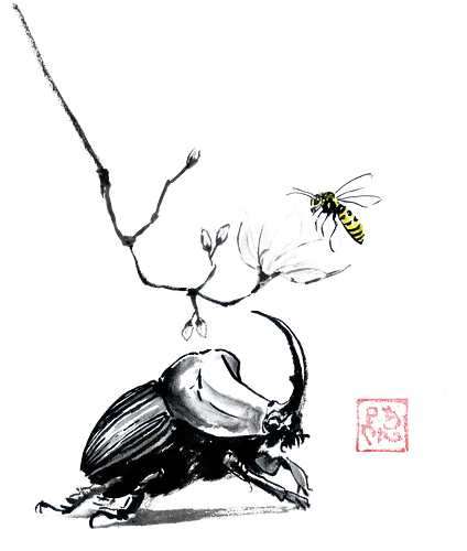 beetle bee - beetle, sumie, japan, sakura, beea