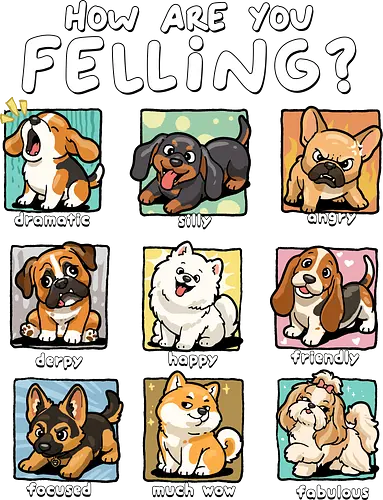 How Are You Feeling - dogs, angry, derpy, dog, dog lover, dramatic, emotion, fabulous, feelings, focused, friendly, happy, how are you feeling, mood, silly