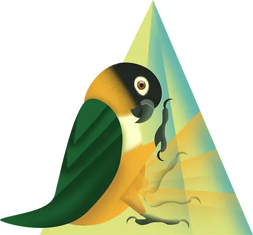 Stampfender Caique - Papagei, Parrot, Animal Humor, Tiere und Humor, Birb, Papageienfan, Caique, Grünzügelpapagei