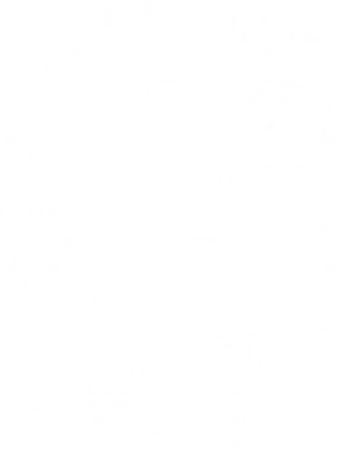 Hallownest Barbecue Emblem - Bug Knight, hallownest, the knight, hollow, knight, hornet, indie game, shade, gamer, gaming, video game, silksong, ramen, pale King, grub