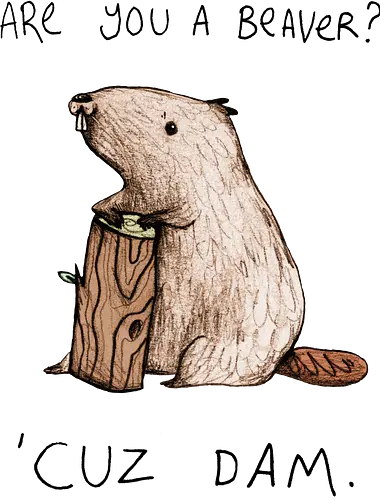 Meister der Dämme und des Humors - lustiger biber, tierhumor, wortspiel, tierillustration, niedliche kunst, natur humor, minimalistische zeichnung, wildtier kunst, biber cartoon, kreative illustration, tierliebhaber, humorvolle kunst, handgezeichnet, naturfreund, tierdesign