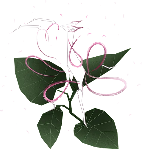 Sakuramantis - Orchideenmantis, Blumenmantis, Kronenfangschrecke, Fangschrecke, Gottesanbeterinn, Kirschblüte, Sakura, Natur, floral