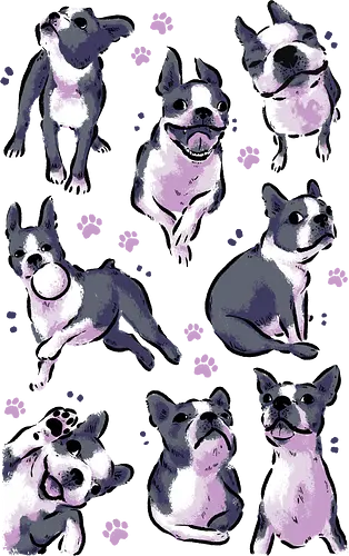 Boston Terrier Love White - boston terrier, dog, funny boston, cute boston, kawaii boston, pet, pattern, dogs, seamless, watrcolor, love, lover, collection, animal, xmorfina