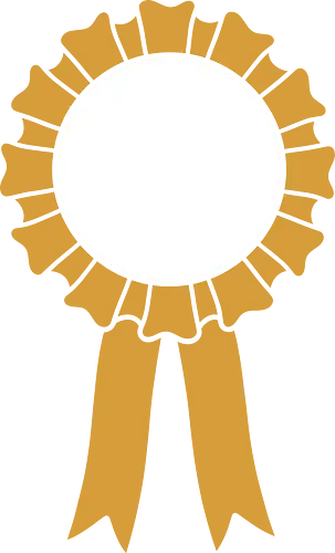 The Gold Standard: Blank Award Ribbon - blank award ribbon shirt, gold rosette graphic tee, minimalist winner apparel, funny participation award clothing, ironic graphic streetwear, subtle aesthetic tee, simple gold ribbon design, everyday champion merch, blank canvas graphic shirt, self love aesthetic fashion - Standard T-Shirt
