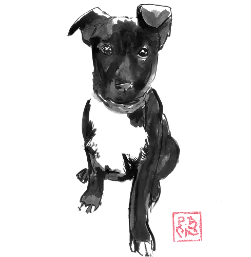 black doggie - dog, sumie, japan - Standard T-Shirt