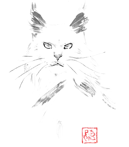 white main coon - cat, sumie, japan - Standard T-Shirt