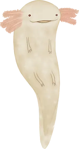Süßer Wassermolch Rosa - axolotl, ajolote, süßer Wassermolch, rosa externe Kiemen, exotischer süßer Lurch, digitale Tier Illustration, beiges Wassertier, hellblauer Hintergrund, süßes lächelndes Tier, Kawaii Lurch Kunst, exotischer Tier Druck, Tierliebhaber Geschenk, Wasser Dekor, süßes Tier Shirt, charmantes Wassertier, süße realistische Illustration, seltenes mexikanisches Tier, axolote