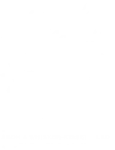 Hotel Catifornia - tropical cat, cat vacation, cat life, purr, plenty of purr, whiskers, whisker kissed, black cat, cat silhouette, retro parody, vintage hotel, hotel catifornia, cat lover, funny cat, retro cat, vintage cat, california cat, cat hotel, feline humor, cat pun, funny cats, palm trees, california vibes, retro california, vintage travel - Standard T-Shirt