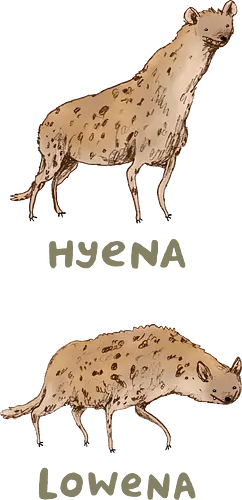 Zwei Hyänen Gegensätzliche Haltungen Groß Klein Wortspiel - Wildtier Humor, intelligenter Tier Humor, zwei Hyänen gegensätzliche Haltungen, große stolze Hyäne, flache niedrige Hyäne, tierisches Wortspiel, künstlerische Hyäne Illustration, handgefertigte Tier Skizze, goldene gefleckte Hyäne, olivgrüne Typografie, Tier Humor Druck, Hyäne Liebhaber Geschenk, Tier Wortspiel Shirt, afrikanische Savanne Hyäne, vergleichende Tier Kunst - Standard T-Shirt