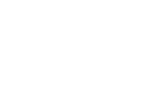 We The Evil - dark aesthetic, we the people, metal parody, black metal, pentagram, satanic, gothic, death metal, occult, heavy metal, edgy typography, metalhead, streetwear, dark humor, anti social - Standard T-Shirt