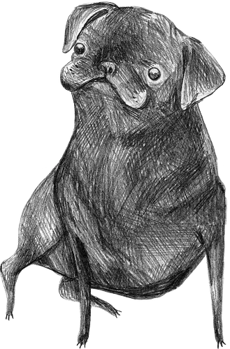 Der Kleine Gentleman Mit Dem Neugierigen Blick - Mops, süßer Hund, schwarzer Hund, süßes Tier, Tierkunst, Bleistiftzeichnung, Illustration, Hundeliebhaber, Haustier, Tierportrait, minimalistische Kunst, kleiner Hund, Schwarzweißkunst, neugieriger Hund, Hundekunst - Standard T-Shirt