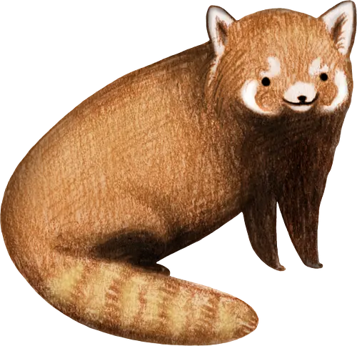 Rötlich Braunes Tier Gestreifter Schwanz Weiße Maske Süß - süßes rötlich braunes Tier, voluminöser beige gestreifter Schwanz, weiße rostige Augenmaske, künstlerische digitale Tier Illustration, Bleistift Aquarell Fell Textur, gefährdetes asiatisches exotisches Säugetier, exotisches Bergssäugetier, süßes realistisches Tier Kunst, exotisches Tier Liebhaber Geschenk, süßes asiatisches Tier Shirt, spitze Ohren weißes Inneres, Himalaya Wald Tier, Natur Tier Druck, zarte elegante Tier Kunst, seltene kostbare süße Kreatur - Standard T-Shirt
