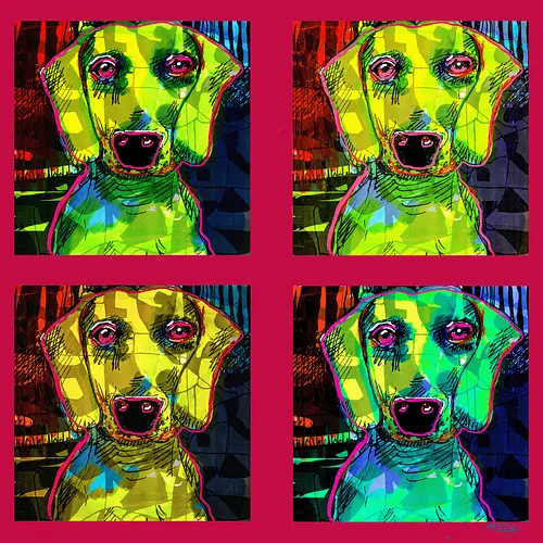 4Dackel Retro Warhol - Pop Art, Street Art, Andy Warhol Style, Neon Art, Bunt, Psychedelisch, Retro, Comic Style, Dackel, Dachshund, Hund, Weimaraner, Jagdhund, Dog, Hundekopf, Haustier, Vierbeiner - Standard T-Shirt
