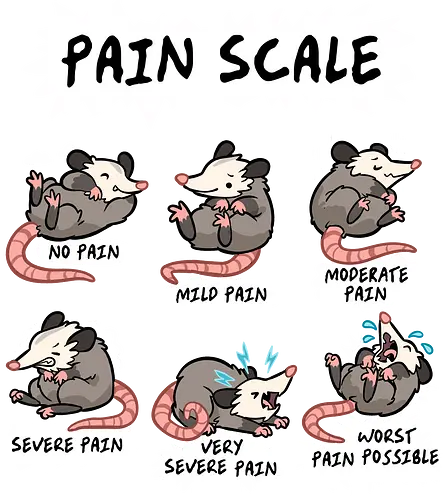 Pain Scale - pain scale, animal, healthcare, hospital, medical, medical humor, nurse, nurse day, nurse gift idea, nurse life, nurses day, nursing, nursing student, opossum, possum - Standard T-Shirt
