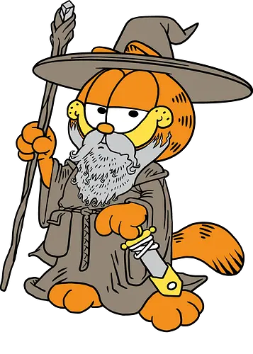 Ganfield - Orange Cat, Wizard, LOTR, Tolkien - Standard T-Shirt