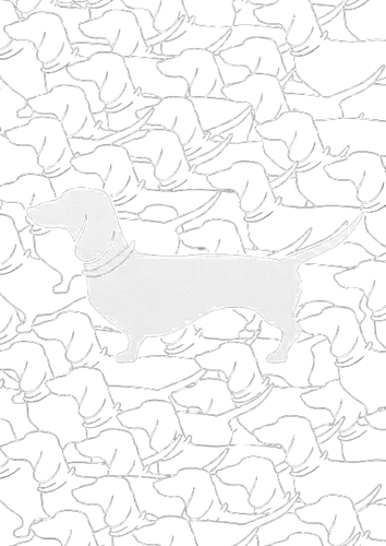 Dackel - Hund, Dackel, Muster, Silhouette, Tarnmuster, auffällig, schwarz, weiß, Strichzeichnung, minimalistisch, originell, Haustier, einzigartig - Artprint