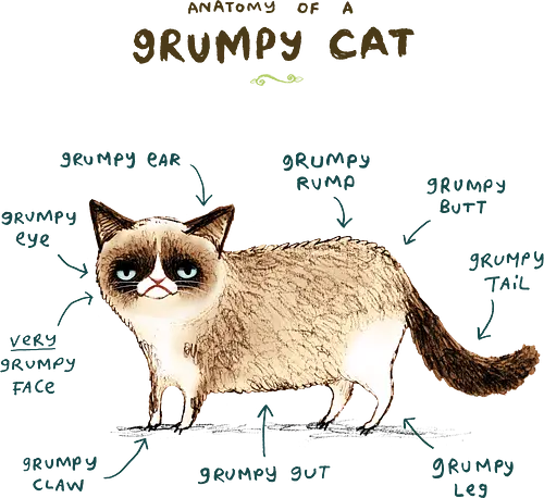 Wissenschaftliche Anatomie der mürrischsten Katze des Internets - Geek Design, Grumpy Cat Kunst, Internetkultur, Grumpy Cat, Tardar Sauce, Katzen Meme, Internet Meme, mürrische Katze, Katzen Meme, lustige Katze, Geek Motiv, Popkultur, Katzenliebhaber, Grumpy Cat Meme, virales Meme, Vintage Meme, Anatomie von Grumpy Cat, Geek Humor, Katzen Meme, Geek T-Shirt - Standard T-Shirt