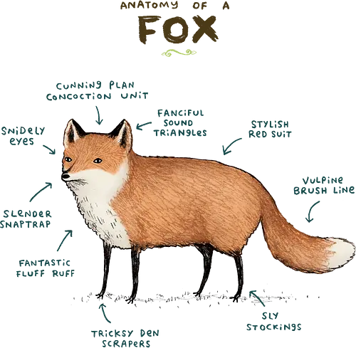 Offizielle Anatomie des schlauesten Fuchses im Universum - Rotfuchs, Fuchs Liebhaber, Fuchsanatomie, lustiger Fuchs, Fuchskunst, schlauer Fuchs, listiger Fuchs, Fuchs Geschenk, Fuchs T-Shirt, Anatomie des Fuchses, Waldtier, wilder Fuchs, foxy, Fuchs Humor, Fuchs Geschenkidee, niedliche Fuchskunst, Fuchs Mama, Tierliebhaber, cleverer Fuchs, Fuchs Design - Standard T-Shirt