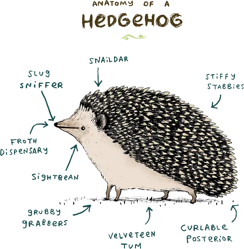 Wissenschaftliche Anatomie des süßesten Igels der Welt - Igel, Anatomie Illustration, Tierliebe, süßer Igel, lustiger Igel, Haustierigel, Igel Kunst, Tieranatomie, süßes Tiermotiv, Igelliebhaber, Tierhumor, lustige Tierkunst, Igel Meme, Geek Motiv, Naturliebhaber, Igel Geschenk, niedlicher Igel, Tier Illustration, Igel Haustier, Tierliebhaber - Standard T-Shirt