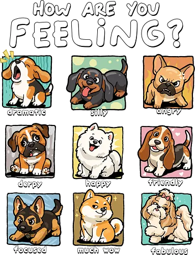 How Are You Feeling - dramatic, emotion, fabulous, feelings, focused, friendly, happy, how are you feeling, mood, silly, dogs, angry, derpy, dog, dog lover - Standard T-Shirt
