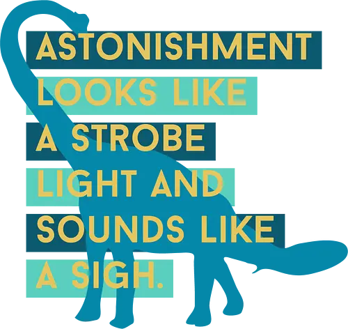 Astonishment looks like a strobe