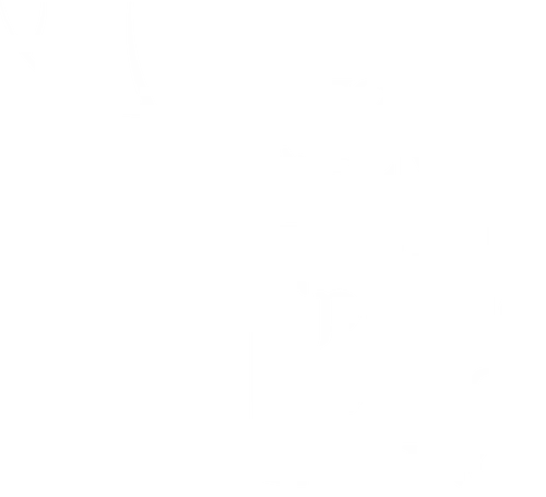 Ecky Ecky - ritter, kokosnuss, ni, monty, python, ptang, zoom, boing