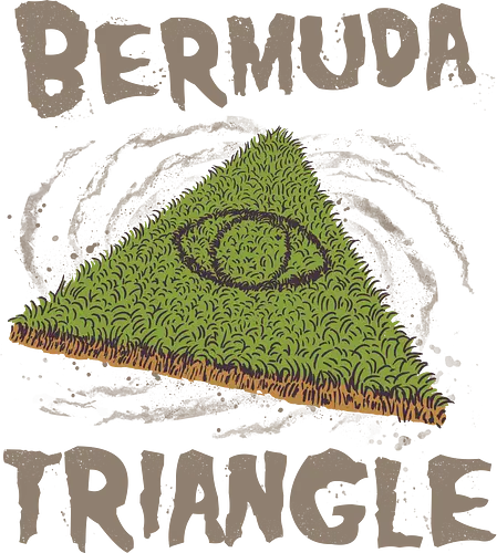 Bermuda Triangle - bermuda dreieck, verschwörung, conspiracy, triangle, aluhut, aliens, disapprences