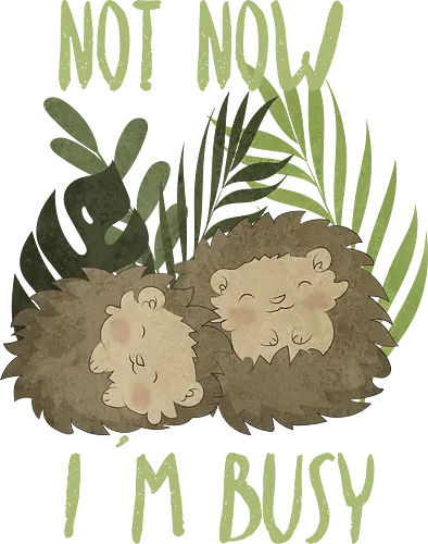 Busy Hedgehog - hedgehog, igel, cute, kawaii, Busy, sleep