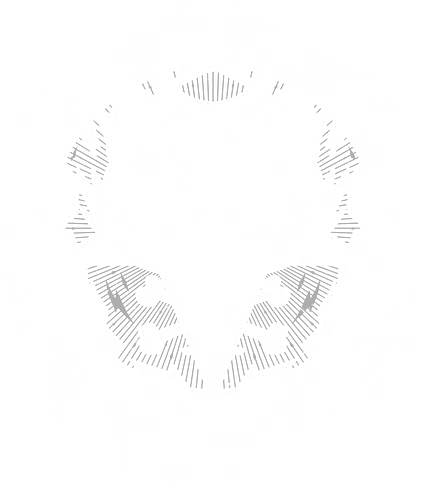 WITCHCRAFT - witch, hexe, witchcraft, katze, cat