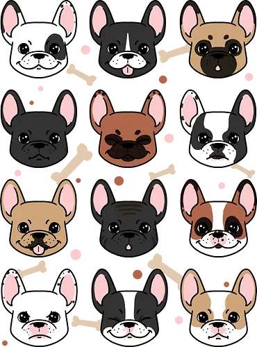 Many Frenchies - french bulldog, frenchie, dog, hund, doggo