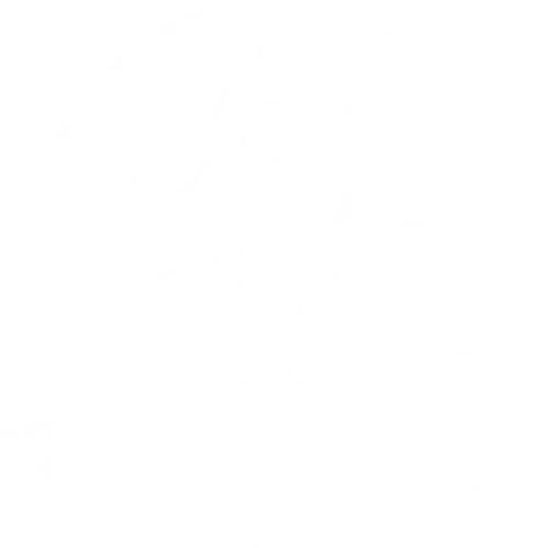 Pirate Fitness - pirate, monkey, island, gaming