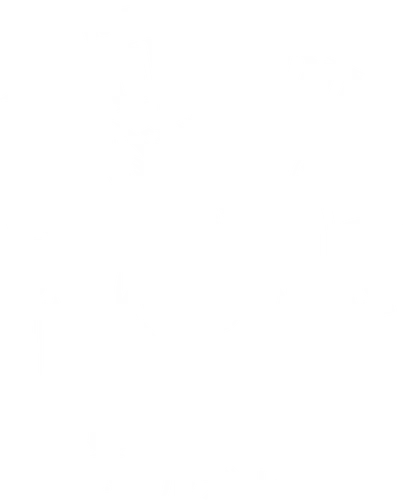 Torgal Wolf - wolf, dog, torgal, final, fantasy