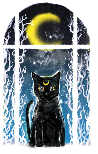 moon visitor - anime, manga, moon, sailor, cat, katze, luna, neko