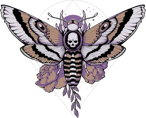 Death Moth - Motte, totenkopf, halloween, insect, Death hawk moth