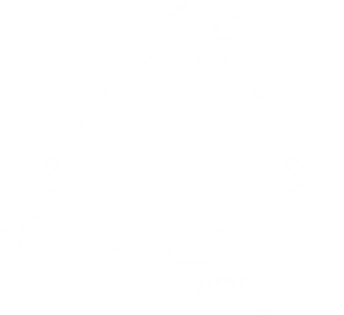 Witch Vibes - witch, halloween, skull