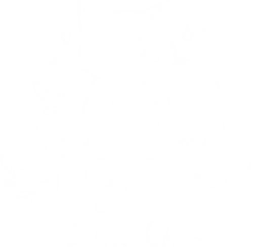 Black Cat - cat, katze, cute, skull, schädel