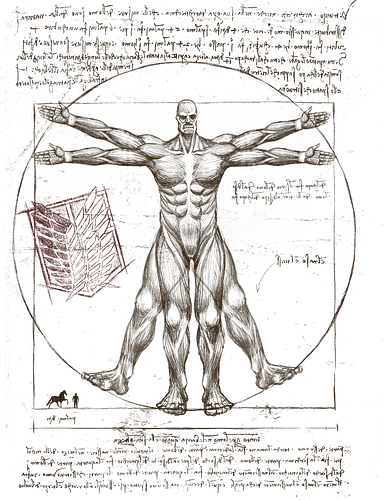 Vitruvian Titan - anime, manga, titan, attack, da vinci, mashup