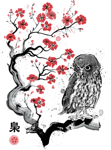 Fukurō Sumi-e - sumi-e, owl, eule, sakura, kirschblüte